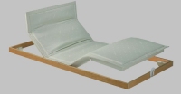 Schramm UM-220 Master M2-SCA Electric adjustable bed base